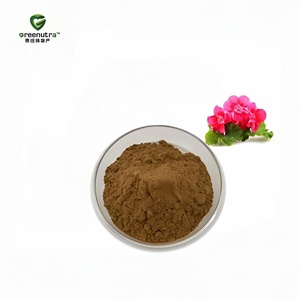 Extracto de Pelargonium y Extracto de Pelargonium Graveolens con Extracto de Pelargonium <span class=keywords><strong>Sidoides</strong></span> para Productos Naturales de Salud y Bienestar - Product Image 3