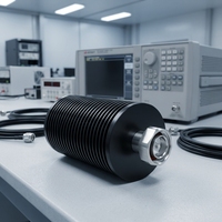 Charge fictive RF mâle DIN 100W 50 Ohms DC-3GHz, étanche IP65, boîtier en alliage de cuivre et aluminium, terminaison de test pour télécommunications