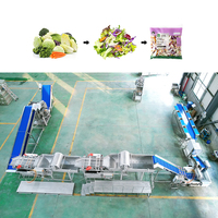 Industriële kersentomaat-bubbelwasmachine, saladehakselaar, saladebereidingsmachines, versaladeverwerkings- en verpakkingslijn
