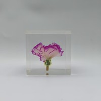 Kubus Resin Bening dengan Bunga Anyelir Asli yang Diawetkan, Penahan Kertas Resin Bunga Asli untuk Hadiah Kerajinan Dekoratif Hari Ibu