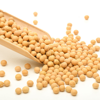 Vente en gros de graines de soja jaunes de qualité alimentaire, origine Chine, pour la consommation humaine