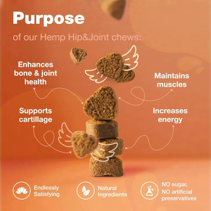 מפעל הירך & תוספת משותפת תומך בריאות משותפת שומרת על שימון משותף - Product Image 3