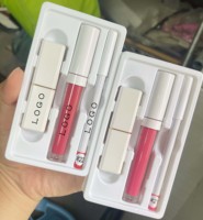 Kit de Rouge à Lèvres Liquide Mat Végétalien 3-en-1 et Crayon à Lèvres Personnalisé avec Logo en Gros et Marque Privée