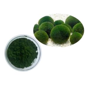 Bubuk Spirulina klorella organik 1kg, Protein tinggi Natural herbal Vitamin kaya meningkatkan radiasi ketahanan tinggi - Product Image 1