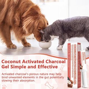 <span class=keywords><strong>Pasta</strong></span> di Carbone Attivo OEM <span class=keywords><strong>per</strong></span> Cani e <span class=keywords><strong>Gatti</strong></span>, Kit Antiavvelenamento <span class=keywords><strong>per</strong></span> Animali Domestici, Assorbitore di Tossine <span class=keywords><strong>per</strong></span> Emergenze, Aiuto <span class=keywords><strong>per</strong></span> il Sistema Digestivo - Product Image 2