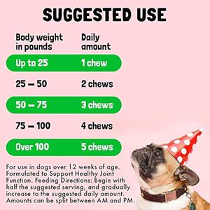 Suplemento OEM para mascotas, fabricante de glucosamina, condroitina, MSM, suplemento de soporte para movilidad de cadera y articulaciones para perros y gatos - Product Image 4