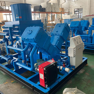 Compressore per compressore Cng dell'attrezzatura della stazione di rifornimento dell'automobile - Product Image 3