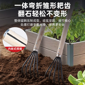 Rastrillo de jardín de cinco dientes Airi Shield con cabeza de acero y mango de madera, herramienta para aflojar la tierra, ideal para bonsái y exploración de la playa. - Product Image 4