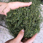 Dry Tea Leaf Vine Leaves Cutting Machine Commercial Herb Leaves <b>Shredder</b> Matcha Tea Slicing Machine Easy to Operate - Product Image 6