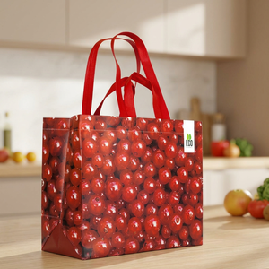 Bolsa de Compras de Polipropileno Tejido con Logotipo Personalizado para Cadenas de Supermercados, Tiendas de Abarrotes y Empaquetado de Mercancía Minorista - Product Image 1
