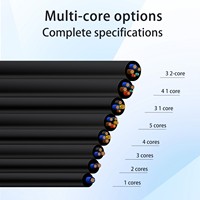 Cable Armado con Aislamiento de PVC VV22 1.8/3kV 3+2 Núcleos para Túneles e Ingeniería de Suministro de Energía en Exteriores