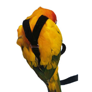 Hewan Peliharaan Burung Terbang Tali 8M Panjang Burung Beo Harness - Product Image 5