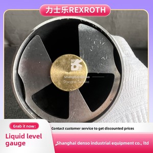 เครื่องวัดระดับน้ำเยอรมนี R901269287 ABZMS-41-2X/1000/M2/DC-K24 จีน - Product Image 5