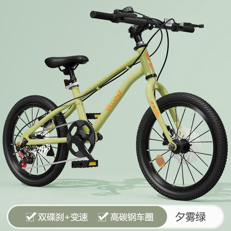 Green double disc brake speed change