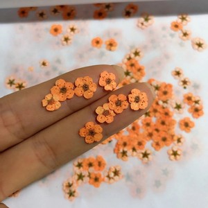 Mini Flores Secas de Narciso Multicolores para Hacer Jabones y Velas, Decoración para Invitaciones de Boda y Scrapbooking - Product Image 6