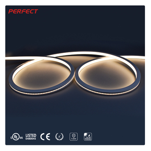 Tira de LED de Neón Flexible y Curvable de Primera Calidad con Certificación UL CE - Radio de Curvatura de 60 mm, Alto CRI >90, Sin Puntos Oscuros, Longitud de Corte de 41,7 mm, DC24V - Product Image 1