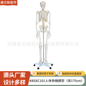 KBS/XC101170cm - Product Image 1