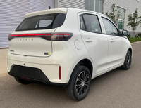 Voiture électrique haute vitesse Integralbody avec licence d'expédition internationale, 30 kW, autonomie CLTC 300 km, véhicule électrique à énergie nouvelle pour adultes