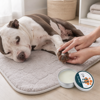Baume hydratant pour pattes d'animaux, pour chiens et chats, ingrédients naturels, protège, répare, apaise les pattes sèches et gercées