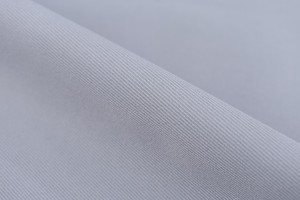 2010 Sheer # Polyester Kỵ Binh <span class=keywords><strong>Twill</strong></span> giả Cotton kết cấu mùa xuân và mùa thu Nam Nữ kinh doanh giản dị áo sơ mi vải - Product Image 3