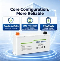 Baterai Penyimpanan Energi LiFePO4 12.8V 200Ah 6000+ Paket Baterai Surya Hibrida untuk Cadangan UPS Off Grid