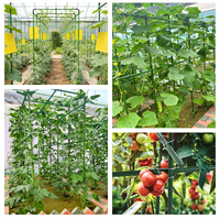 Tuteur de fleurs, piquet de jardin, support de tige, plante ornementale, accessoire de formation pour pépinière, horticulture extérieure, durable