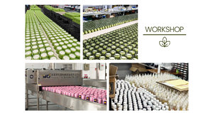 Bougie parfumée longue durée sans fumée, parfum romantique, aromathérapie, cire de soja biologique, cadeau pour mariage, fête, <span class=keywords><strong>anniversaire</strong></span> - Product Image 5