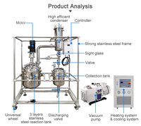 Équipement de récupération continue d'éthanol 50-500L, réacteur de décarboxylation en acier inoxydable avec condenseur, chauffage et refroidisseur