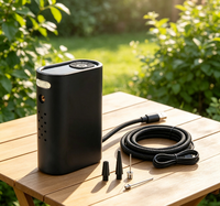 High Quality Portable Tire Inflator With Quick Inflate