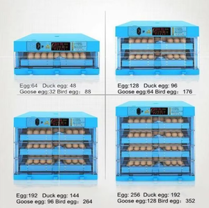 Incubateur d'œufs automatique à alimentation unique 12V 220V pour œufs de dinde, d'émeu, d'oie et d'oiseaux, avec un taux d'éclosion élevé - Product Image 6