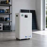 Boîtier de batterie LiFePO4 mural 5kWh 48V 100Ah avec support métallique robuste pour montage DIY