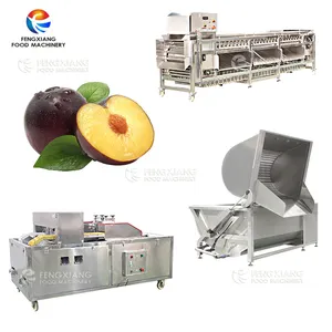 Fruit Plum Cherry Lychee Longan Peach Olive Pitting Corer Core Remover machine