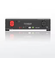 Batterie au lithium Dyness Power Wall avec 10 ans de garantie DL5.0C 51.2V 100Ah 5.12kWh batterie lithium-ion de stockage d'énergie