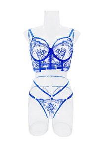 Sexy mới cô dâu đồ lót hot ren TRIM Strappy hoa thêu lưới Underwire áo ngực và panty đồ lót thiết lập - Product Image 4