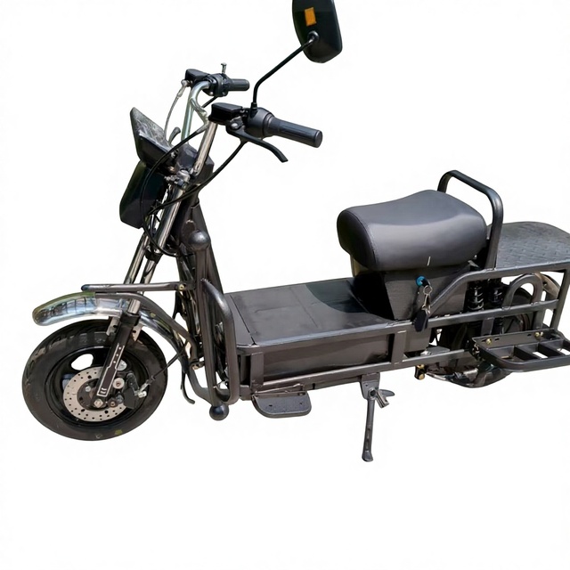 200kg Max Load Commercial E-Cargo Bicycle | 1000W 72V 20A Central Brushless Motor 3 Speed Heavy Duty Delivery Bike