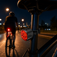 Lampe de poche LED rechargeable OEM personnalisée, portable, 19g, ABS PC, légère, haute luminosité, 100H, feu arrière pour vélo de route et VTT