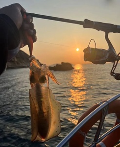 Amo da Pesca FUKUSHIMA Generazione 1 Misure 2.5 3.0 3.5 3S/M EGI JIG Luminoso Fosforescente che Affonda per Gamberi di Legno <span class=keywords><strong>Esche</strong></span> Luya per <span class=keywords><strong>Calamari</strong></span> - Product Image 5