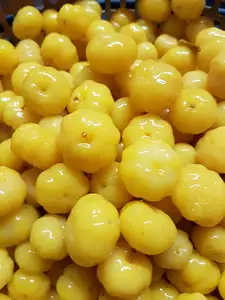 Консервированные фрукты Gooseberry, консерванты для продуктов, кисть и сладкое маринование