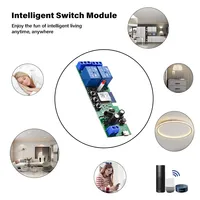 Commutateur intelligent AC220V Tuya 85-250V 2CH Module de relais WiFi 5V 12V 24V 433MHZ RF télécommande Google Home Alexa Tuya 2CH récepteur
