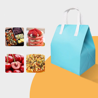 Sac Isotherme Non-Tissé Imperméable de Taille Personnalisée pour Livraison Alimentaire, avec Logo et Couleurs, en Feuille d'Aluminium