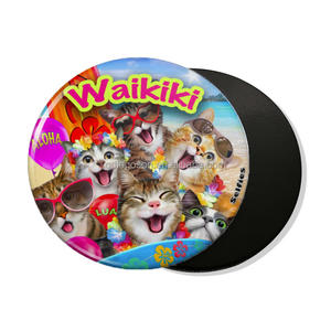 Custom Boston Mass Koelkast Magneet Usa Vlag Souvenir Massagetts Stempel Epoxy Magnetische Sticker Productie Boston Massas - Product Image 3