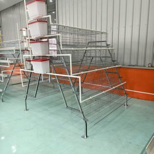Jaula Automática para Gallinas Ponedoras <span class=keywords><strong>de</strong></span> 4 Niveles Tipo A, para Cría <span class=keywords><strong>de</strong></span> <span class=keywords><strong>Aves</strong></span> <span class=keywords><strong>de</strong></span> <span class=keywords><strong>Corral</strong></span>, <span class=keywords><strong>Granja</strong></span> Avícola, 1000 <span class=keywords><strong>Aves</strong></span>, Venta <span class=keywords><strong>de</strong></span> Huevos - Product Image 3