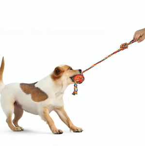 Juguetes Masticables para Perros en Forma de Cuerda, de TPR Ecológico y Duradero, para Limpiar los Dientes de Cachorros - Product Image 6