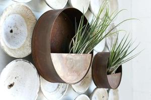 Maceta Circular de Acero Corten para Decoración de Paredes - Product Image 3