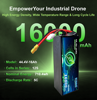 Paket Baterai Lithium Drone 6S 5C Densitas Energi Tinggi, Daya Tahan Siklus Panjang untuk Pemetaan, Drone Industri Penyelamatan Kebakaran