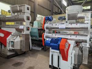 Machine à granulés d'aliments pour animaux de qualité supérieure à <span class=keywords><strong>prix</strong></span> avantageux, 55 kW, pour poulets et bovins - Product Image 2