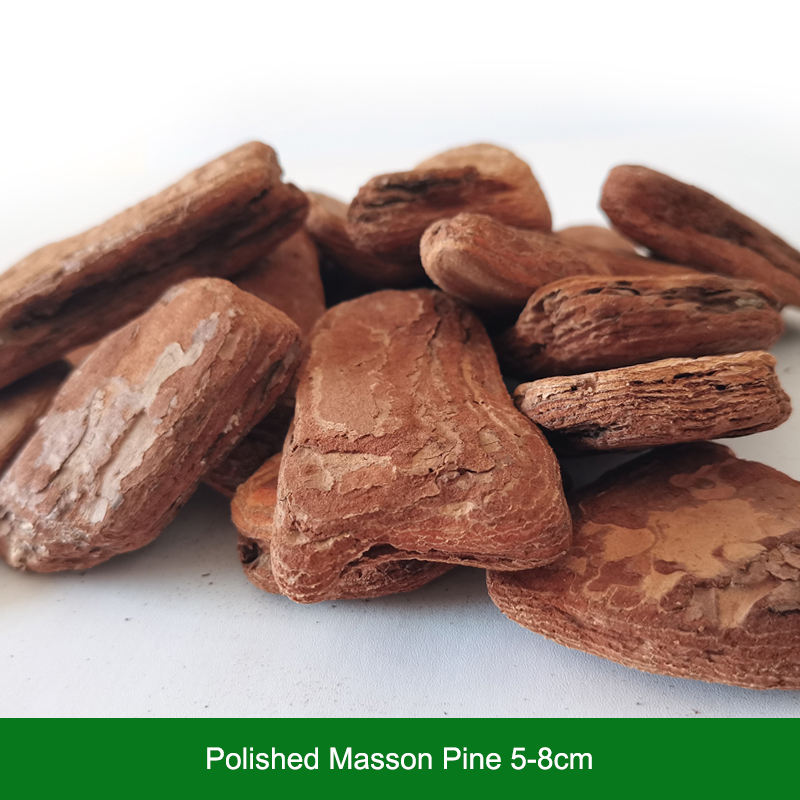 Pin masson poli 5-8cm