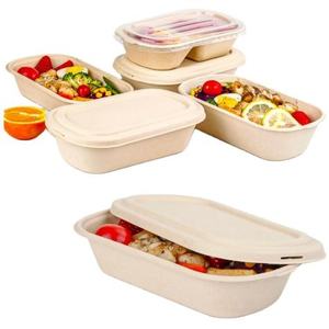 Natural Bagasse Rectangular 500mL Leakproof Food <b>Container</b> Eco Friendly Compostable Disposable Takeaway Box for Fast Food Cafes - Product Image 1