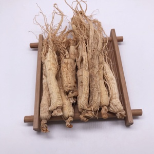 1010 Ren Shen Ginseng all'ingrosso puro naturale radice di Ginseng cinese erbe aromatiche essiccate Ginseng bianco - Product Image 5