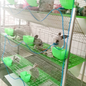 Set Completo di Gabbie per Allevamento Conigli con 9 o 12 Scomparti - Product Image 6